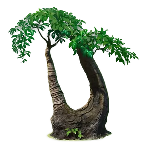 Trunk With Plants PNG 58