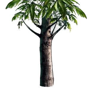 Trunk With Plants PNG Loy76 PNG