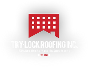 Try Lock Roofing Inc Logo PNG image