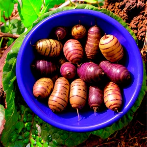 Tuber Pests And Diseases Png 05252024 PNG image