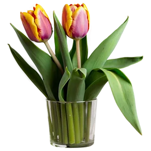 Tulip Arrangement Png Epn5 PNG image