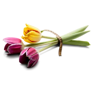 Tulip Bouquet Png 21 PNG image