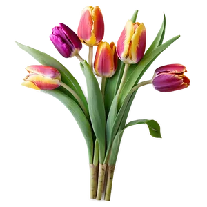Tulip Bouquet Png 66 PNG image
