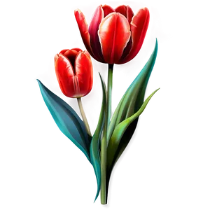 Tulip Clipart PNG 05252024 PNG