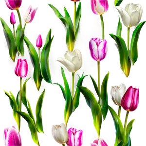 Tulip Dream Png Lsg PNG image