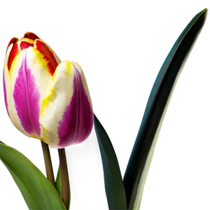 Tulip Fantasy Png 69 PNG image