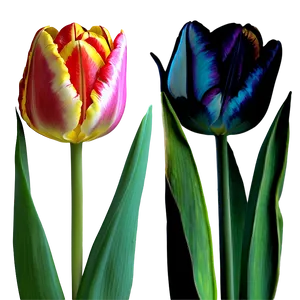 Tulip Fantasy Png Yei22 PNG image