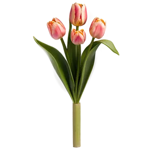 Tulip Flower Bush PNG Eet7 PNG
