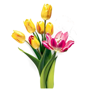 Tulip Gift Png Juw36 PNG image