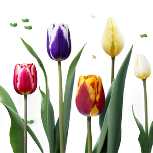 Tulip Pattern Png 25 PNG image