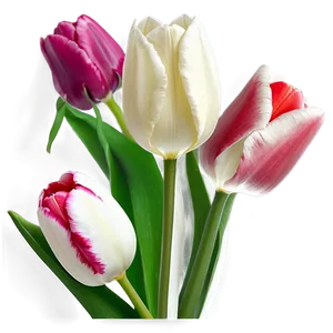 Tulip Pattern Png 33 PNG image
