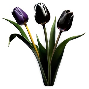 Tulip Silhouette Png Ito PNG image