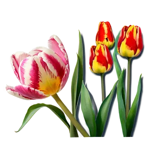 "tulip Temptation: Vivid Flower PNG" A