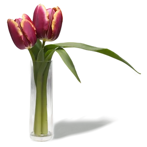 Tulip Vase Png 05212024 PNG image