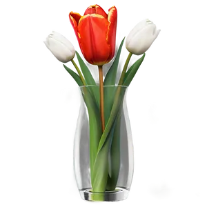 Tulip Vase Png Caw58 PNG image