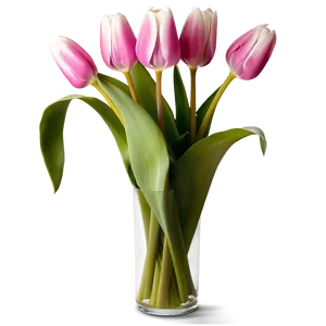 Tulip Vase Png Nsb PNG image