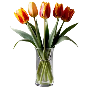 Tulip Vase Png Wvu PNG image