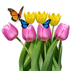 Tulips And Butterflies Png 45 PNG image
