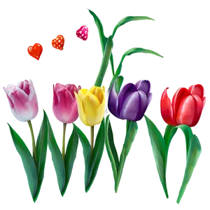 Tulips And Hearts Png 41 PNG image