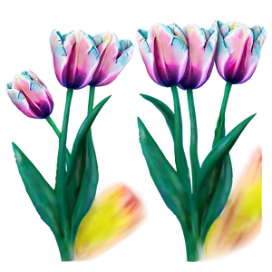 Tulips And Sky Png 05242024 PNG image
