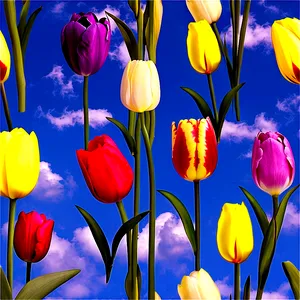 Tulips And Sky Png 05242024 PNG image