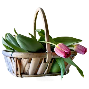 Tulips In Basket Png 92 PNG image