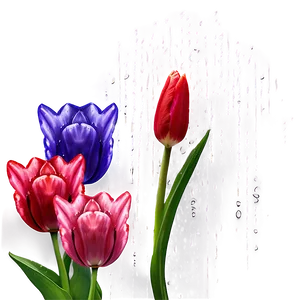 Tulips In The Rain Png Exb67 PNG image
