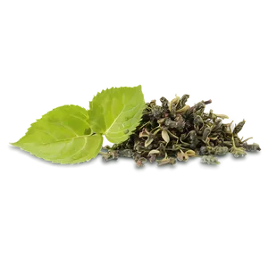 Tulsi Tea Leaf PNG Tnk