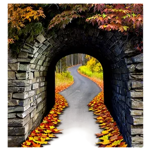Tunnel In Autumn Forest PNG Mcw10