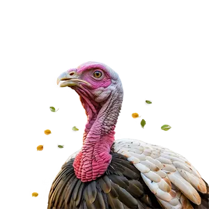 Turkey Farm PNG 88 PNG