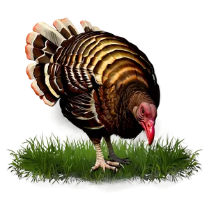 Turkey In Grass PNG 05032024 PNG
