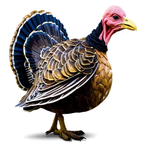 Turkey In Hat PNG Yfb99 PNG