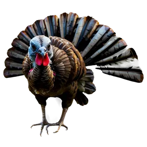 Turkey In Wild Png Gjr PNG image