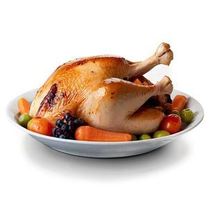 Turkey Leftovers PNG Gay61 PNG