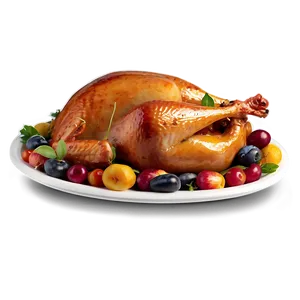 Turkey Platter PNG 37