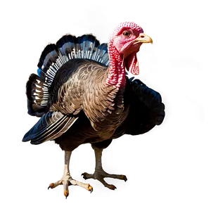 Turkey Silhouette PNG 83