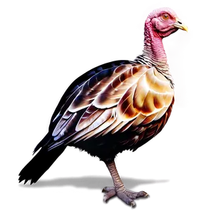 Turkey Silhouette PNG Toh32
