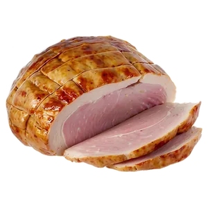 Turkey Slice PNG 06252024 PNG