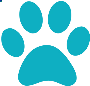Turquoise Paw Print Graphic PNG image