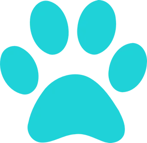 Turquoise Paw Print Graphic PNG image