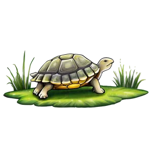 Turtle And Rabbit Fable Png 63 PNG image