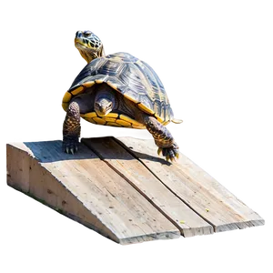 Turtle Climbing Over Obstacle PNG Fen PNG
