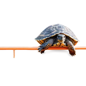 Turtle Climbing Over Obstacle PNG Uoq PNG