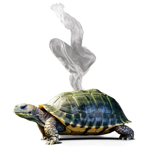 Turtle Eating Lettuce Png 32 PNG image