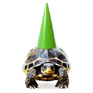 Turtle In A Party Hat PNG Bny PNG