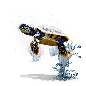 Turtle Making A Splash Png 05232024 PNG image