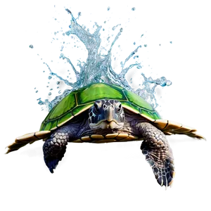 Turtle Making A Splash Png Lsi25 PNG image