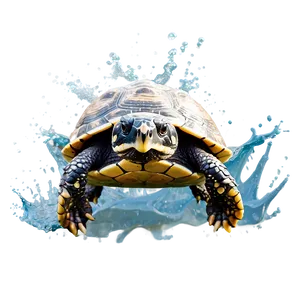 Turtle Making A Splash PNG Osd94 PNG