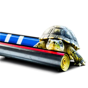 Turtle Racing Finish Line PNG Pre PNG