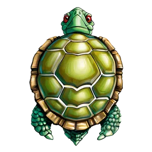 Turtle Shell Clipart Png 06132024 PNG image